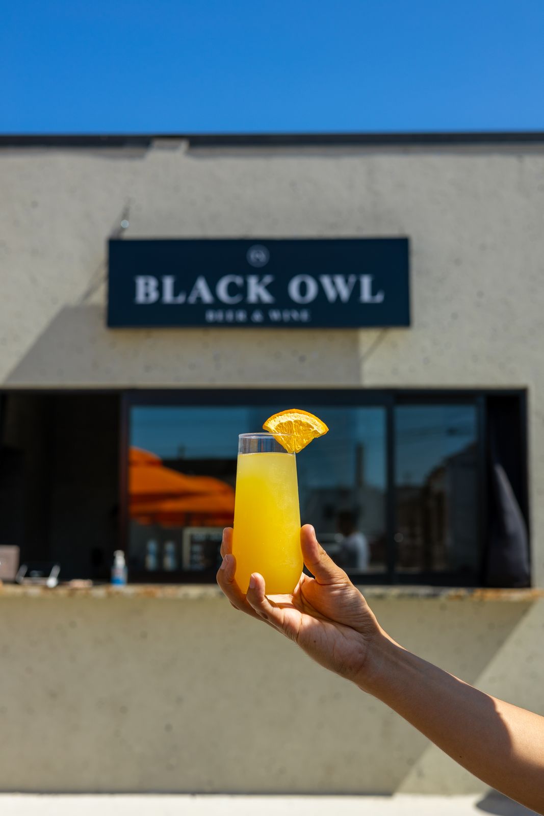 A mimosa out front